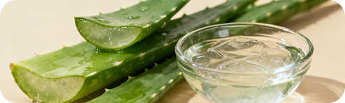 Aloe Leaf Extract